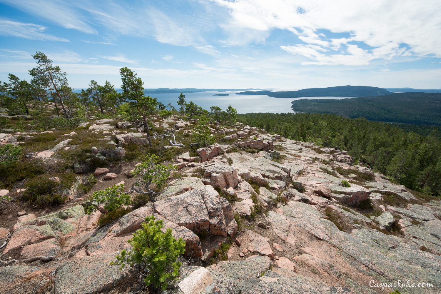 Skuleskogen
